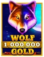 รีวิวเว็บ cj chudjen bet สวรรค์ของนักปั่นสล็อต